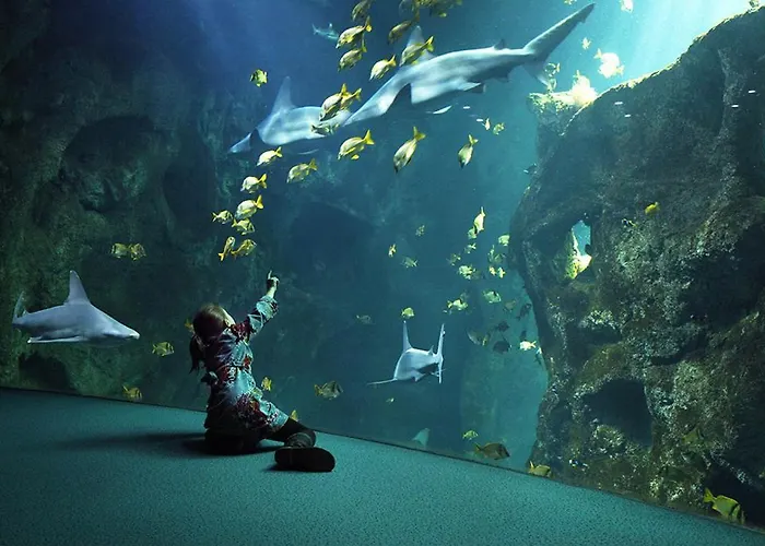 Kemp Le Carbet Vendeen